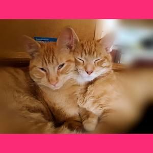 Meet your Posher, Michele